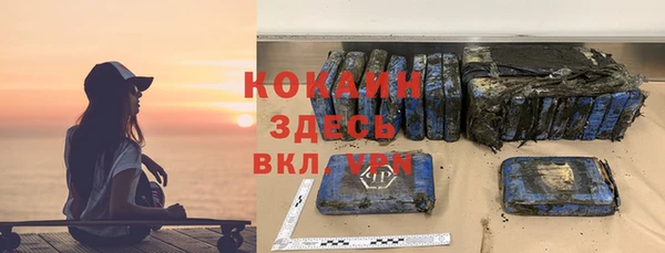 соль ск Пересвет