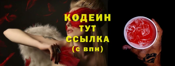 соль ск Пересвет